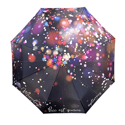 Три слона [109341]