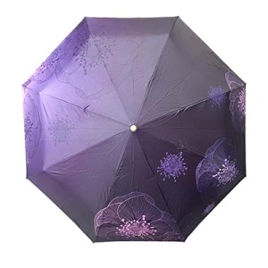 Три слона [108679]