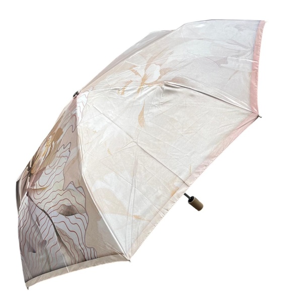 FABRETTI [110892]