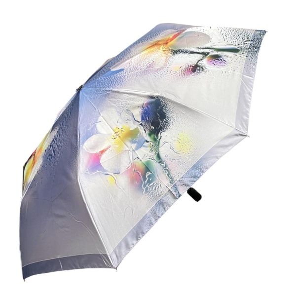 FABRETTI [110891]