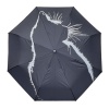 FABRETTI [102329]