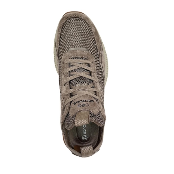 STROBBS [109611]