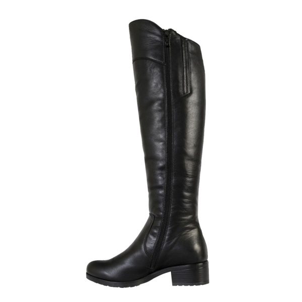 FRANCESCO DONNI [82530]