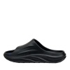 STROBBS [110456]